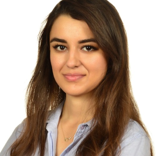 özel ders öğretmeni