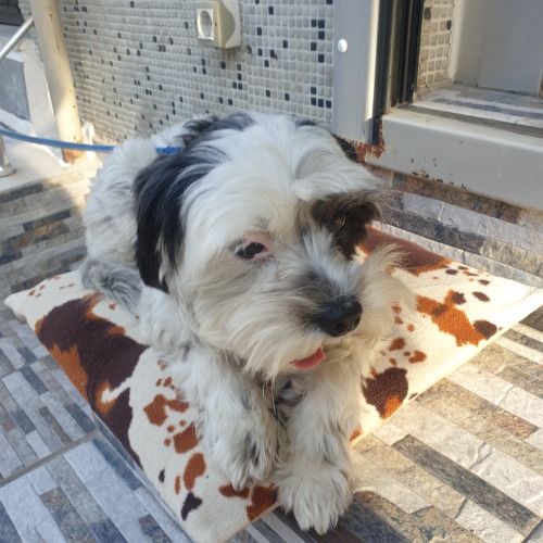 özel ders öğretmeni