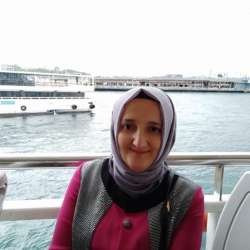 özel ders öğretmeni